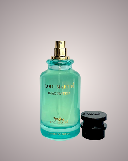 IMAGINATION LOUI MARTIN